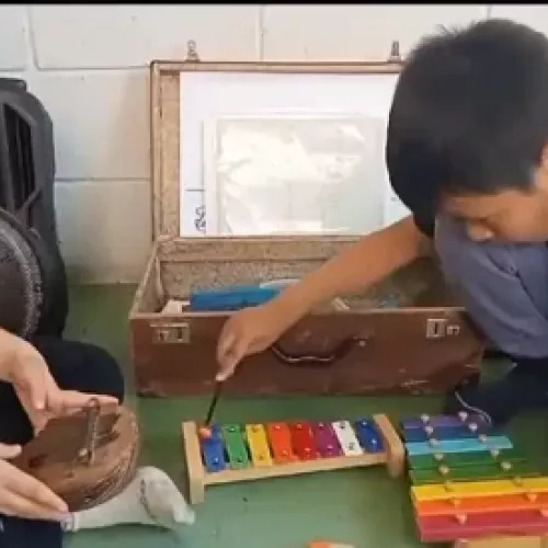 Terapeuta ocupacional