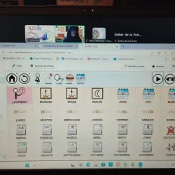 Programari específic per a TEA
