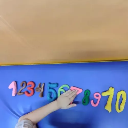 Integració Sensorial de Ayres